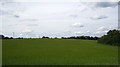 TM1747 : Fields near Church Lane by Chris Holifield