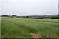 Landscape near Brightling Down