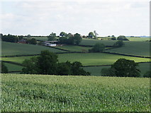 SP6157 : Northamptonshire Countryside by Michael Trolove