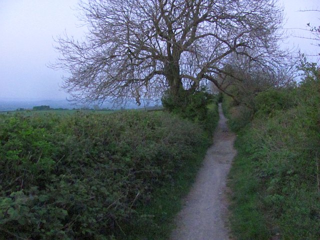 Green lane, Bleadon Hill