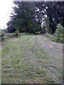 Bridleway at Cuttenham Farm