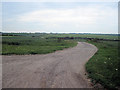 Track to Thorpe Le Vale