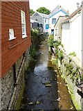 SY3492 : Lyme Regis, River Lym by Mike Faherty