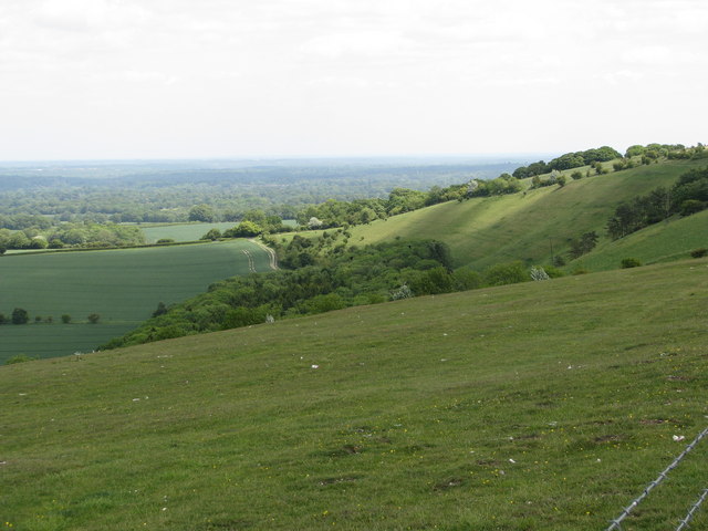 The slopes of Walbury Hill