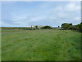 On the Ceredigion Coastal path