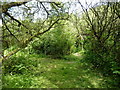 Footpath junction east of Ffrwdenith uchaf