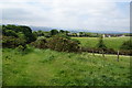 The Pendle Way above Higham