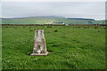 Trig point near Haddings Head