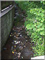 Unknown stream, Builth Wells