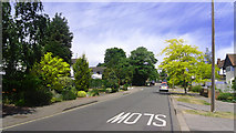 TQ1692 : Green Lane, Stanmore by Des Blenkinsopp