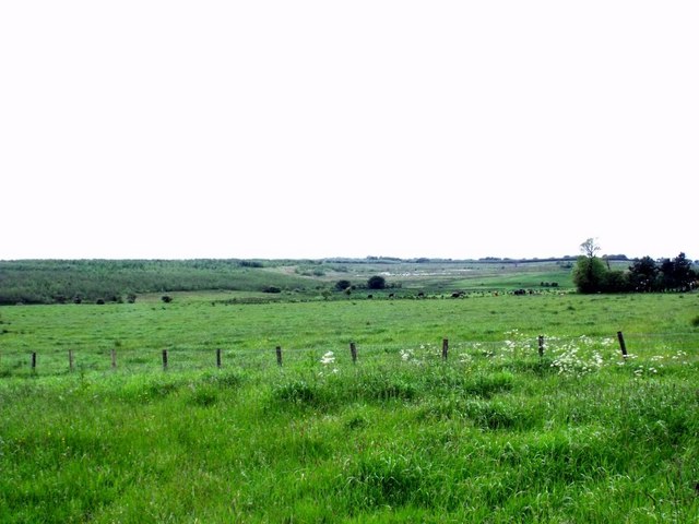 Meikle Drumgray, pasture