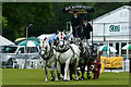 The South of England Show 2011