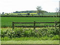 Fields near Fleet Marston