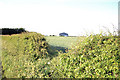 Hoe Hill Farm buildings from B1203