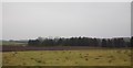 NU1431 : Farmland near Bradford by N Chadwick