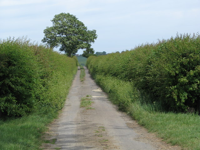 Straight track to Ridgebarn Farm