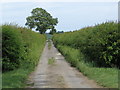 Straight track to Ridgebarn Farm