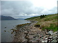 NG9994 : Shoreline of Little Loch Broom by Dave Fergusson