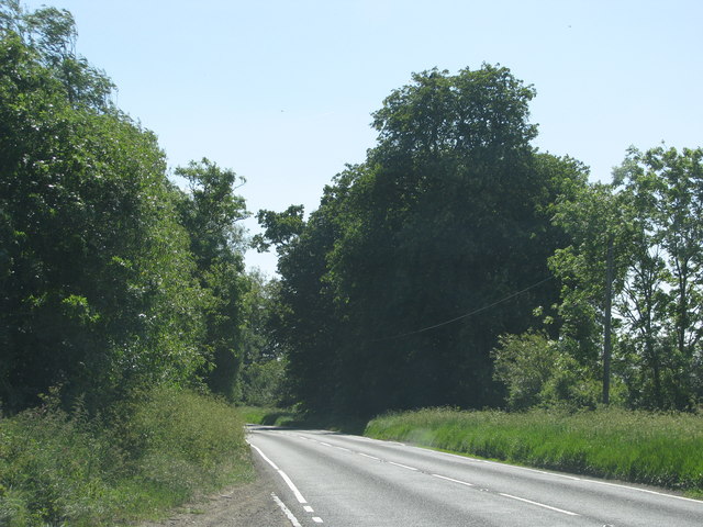 Road to Brill