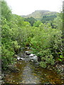 The Allt Scamodale at Scamodale