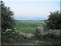 Across the fields towards Petterhills