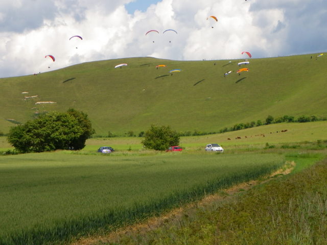 Arable fields near Allington