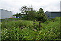 Path into Lomeshaye Industrial Estate