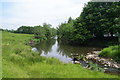 Pendle Water below Lomeshaye Industrial Estate