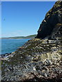 Cliffs at Aberporth