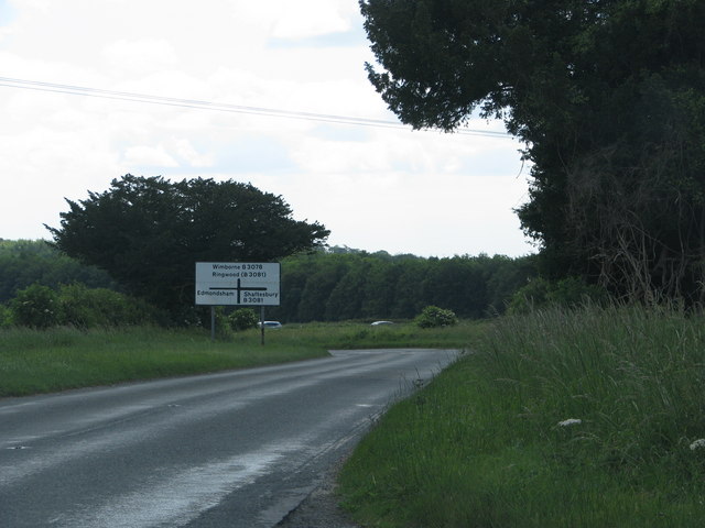 Approach to road junction south-west of Cranborne