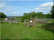 TQ3632 : Allotments with a view by Shazz