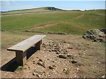 SX6739 : Bench beside the coast path by Philip Halling