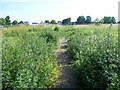 Open space near Tile Kiln Lane