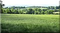 Barley field, Croftgary