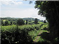 Footpath to Fron-y-Fele