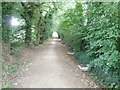 Sandbag weirs on footpath to nursery at New Place Farm