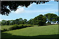 Fields and trees near Ouzel Bank Cottage