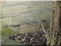 Bench mark on the Old Toll House, Farnley