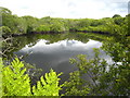 Pool at Lower Porkellis