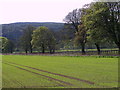 Arable land near Lawers