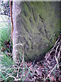 Bench Mark, Ingleton