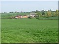 Grassland, Clyst St George