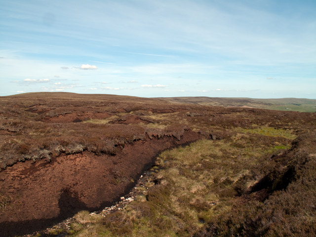 Bog at head of stream groove