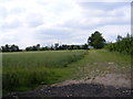 Footpath to Martins Lane