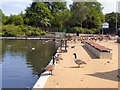 SJ9599 : Stamford Park Lake by David Dixon