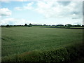 Looking towards Manor House from the A61