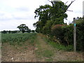 Footpath to Church Lane