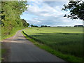 Along the lane to Lynn farm