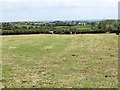 View south towards the Dunnaman suburb of Kilkeel