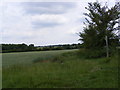 TM2762 : Footpath to Kettleburgh Road by Geographer